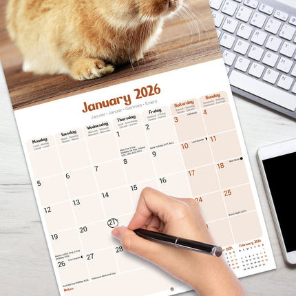 Avonside Konijnen Kalender 2026
