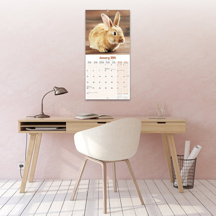 Avonside Konijnen Kalender 2026