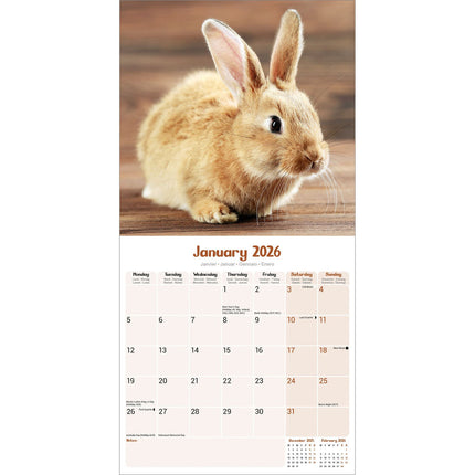 Avonside Konijnen Kalender 2026