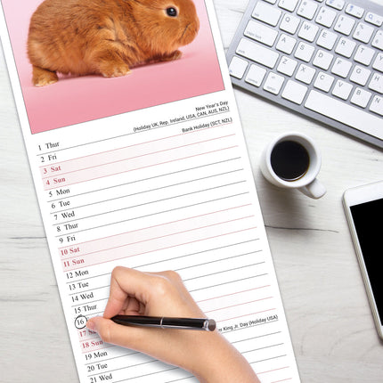 Avonside Konijnen Kalender 2026 Slimline
