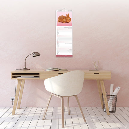 Avonside Konijnen Kalender 2026 Slimline