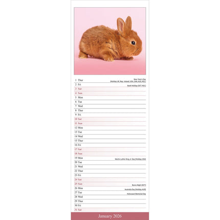 Avonside Konijnen Kalender 2026 Slimline