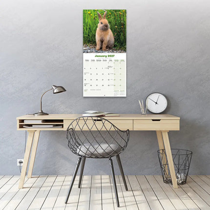 Avonside Konijnen Kalender 2027