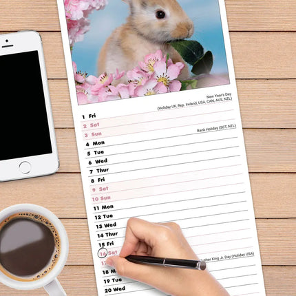 Avonside Konijnen Kalender 2027 Slimline