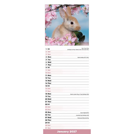 Avonside Konijnen Kalender 2027 Slimline