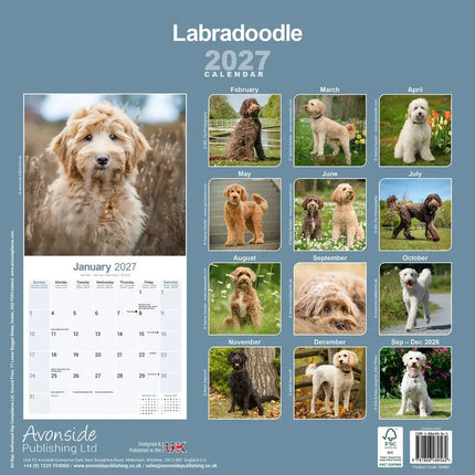 Avonside Labradoodle Kalender 2027