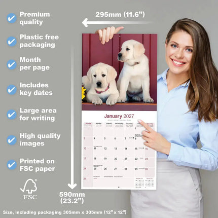 Avonside Labrador Retriever Blond Kalender 2027