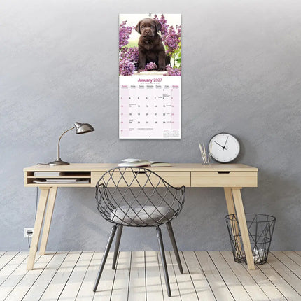 Avonside Labrador Retriever Bruin Kalender 2027