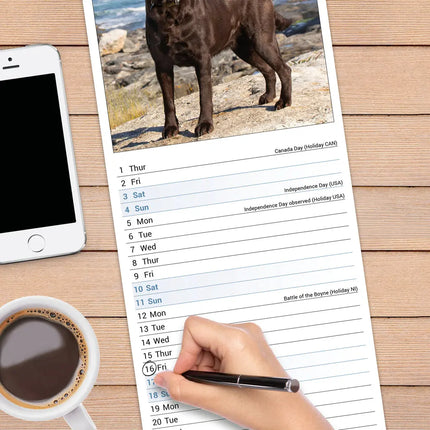 Avonside Labrador Retriever Bruin Kalender 2027 Slimline