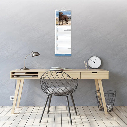 Avonside Labrador Retriever Bruin Kalender 2027 Slimline