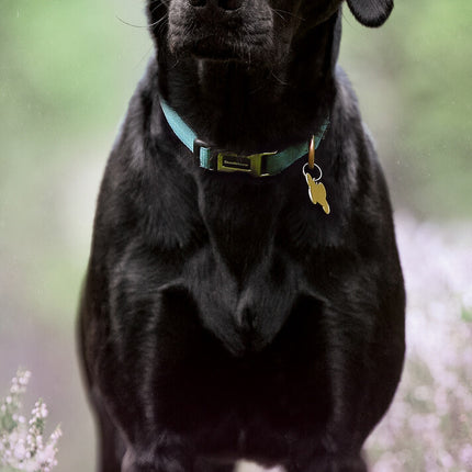 Avonside Labrador Retriever Kalender Zwart 2025 Slimline