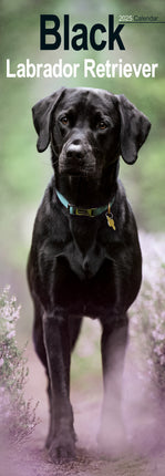 Avonside Labrador Retriever Kalender Zwart 2025 Slimline