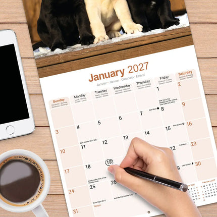 Avonside Labrador Retriever Mixed Kalender 2027