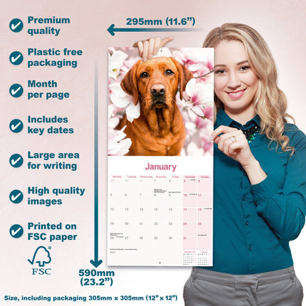 Avonside Labrador Retriever Rood Kalender 2026