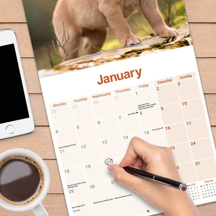 Avonside Labrador Retriever Rood Kalender 2027