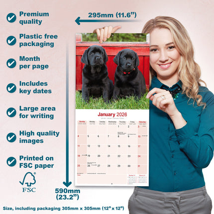 Avonside Labrador Retriever Zwart Kalender 2026