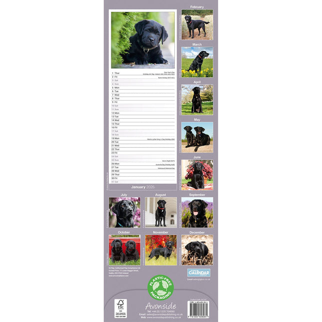 Avonside Labrador Retriever Zwart Kalender 2026 Slimline