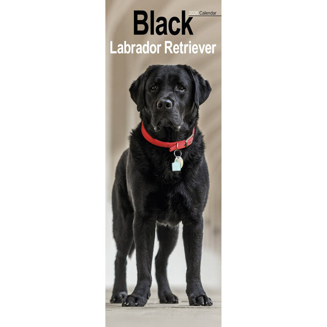 Avonside Labrador Retriever Zwart Kalender 2026 Slimline