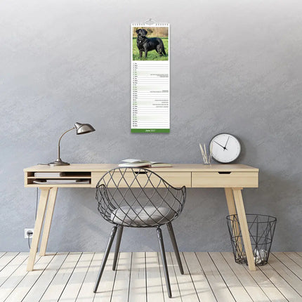 Avonside Labrador Retriever Zwart Kalender 2027 Slimline