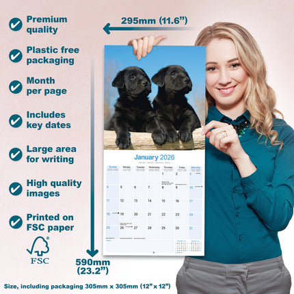 Avonside Labrador Retriever Zwart Puppies Kalender 2026