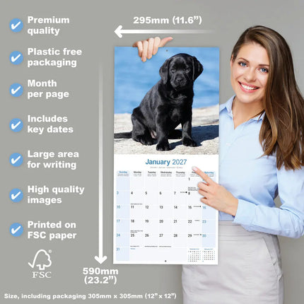 Avonside Labrador Retriever Zwart Puppies Kalender 2027