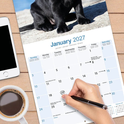 Avonside Labrador Retriever Zwart Puppies Kalender 2027