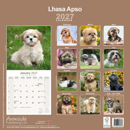 Avonside Lhasa Apso Kalender 2027
