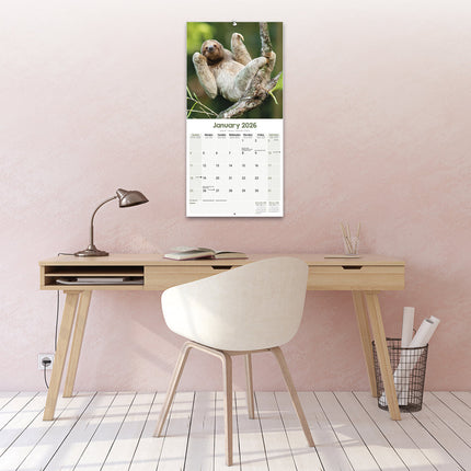 Avonside Luiaard Kalender 2026