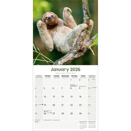 Avonside Luiaard Kalender 2026