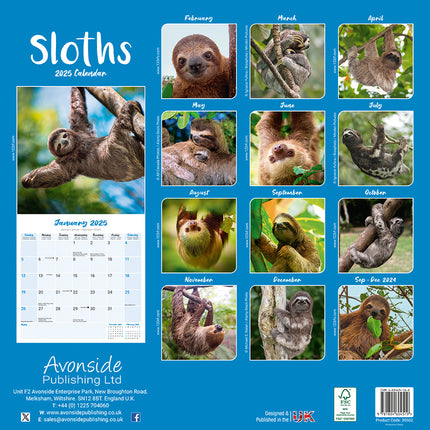 Avonside Luiaard / Sloths Kalender 2025