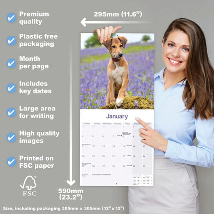 Avonside Lurcher Kalender 2027