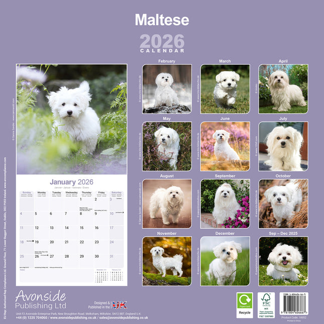 Avonside Maltezer Kalender 2026