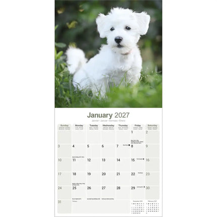 Avonside Maltezer Kalender 2027