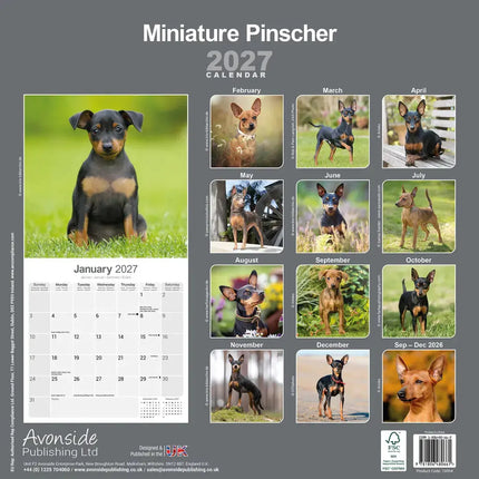 Avonside Miniatuur Pinscher Kalender 2027