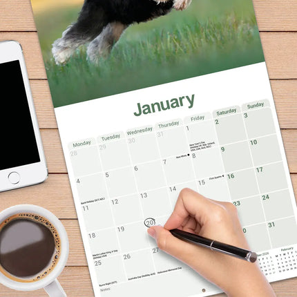 Avonside Miniatuur Schnauzer Kalender 2027
