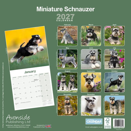 Avonside Miniatuur Schnauzer Kalender 2027