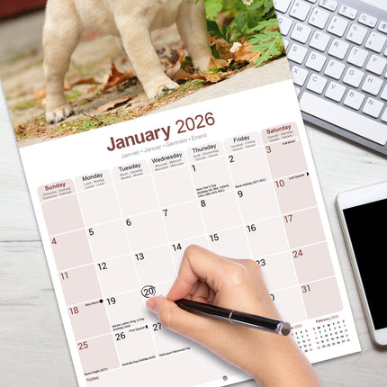 Avonside Mopshond Kalender 2026