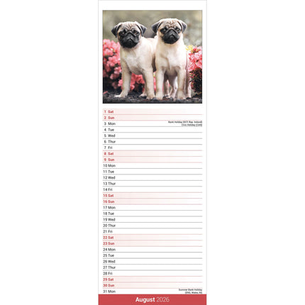 Avonside Mopshond Kalender 2026 Slimline