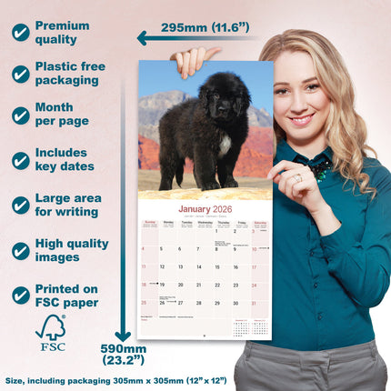 Avonside Newfoundlander Kalender 2026