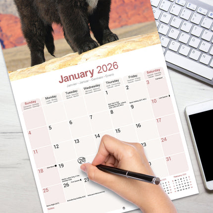 Avonside Newfoundlander Kalender 2026