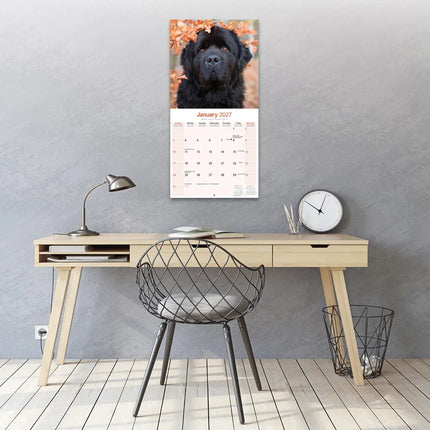 Avonside Newfoundlander Kalender 2027