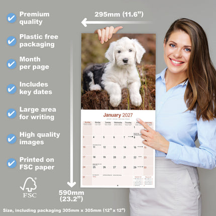 Avonside Old English Sheepdog Kalender 2027