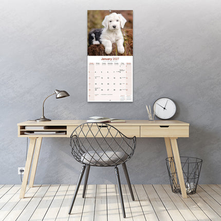 Avonside Old English Sheepdog Kalender 2027