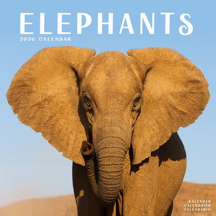 Avonside Olifanten Kalender 2027