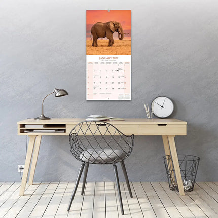 Avonside Olifanten Kalender 2027
