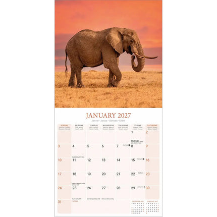Avonside Olifanten Kalender 2027