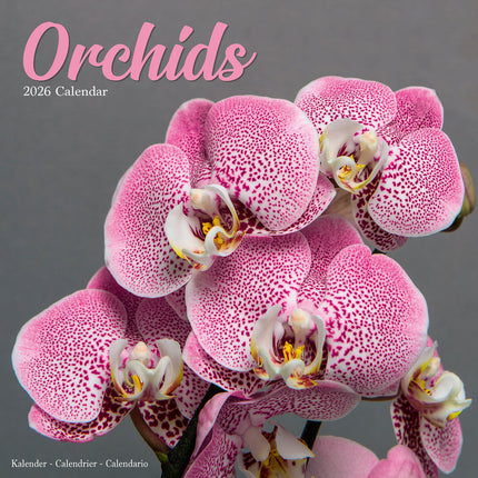 Avonside Orchidee Kalender 2026