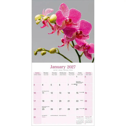 Avonside Orchidee Kalender 2027