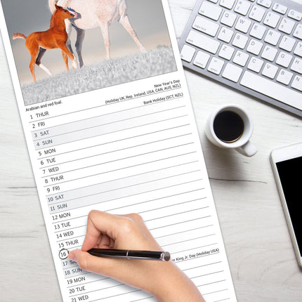 Avonside Paarden Kalender 2026 Slimline