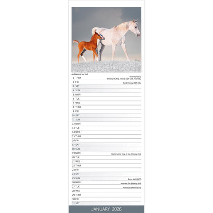 Avonside Paarden Kalender 2026 Slimline